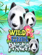 สล็อต ต่าง ประเทศ เครดิต ฟรีคา สิ โน ยู ฟ่า เกมเด็ดที่ห้ามพลาด